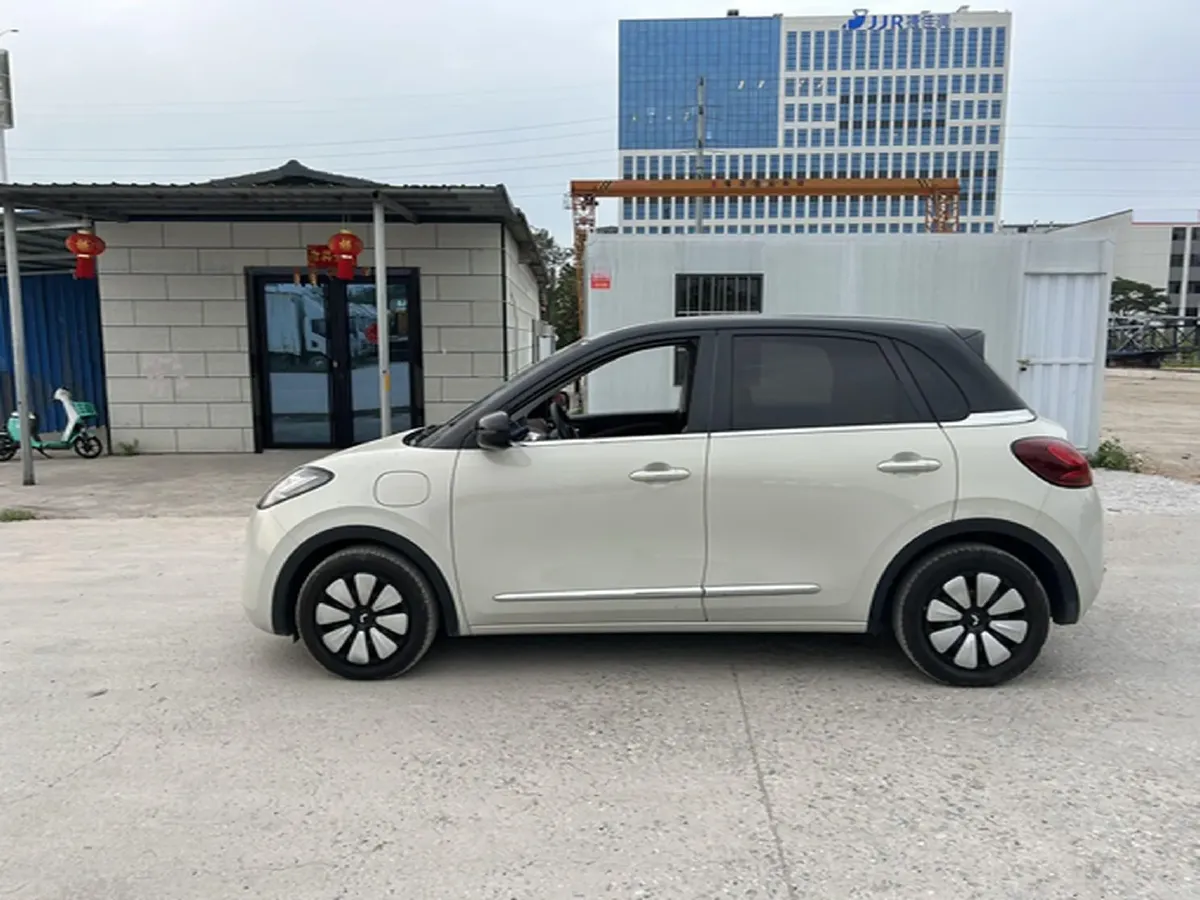 2023 WuLing BinGuo BEV 31.9KWH,autocango,china used car exporter,china ev exporter,chinese used car exporter,chinese used ev exporter