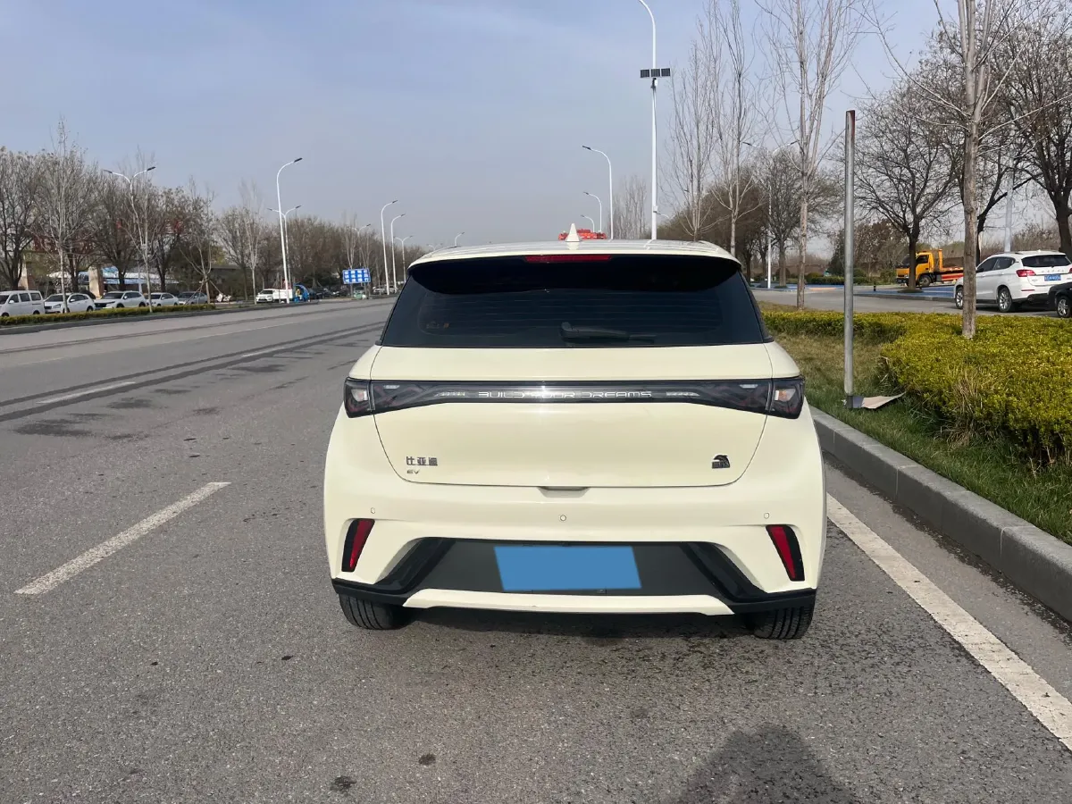 2023 BYD Dolphin BEV 44.928KWH,autocango,china used car exporter,china ev exporter,chinese used car exporter,chinese used ev exporter