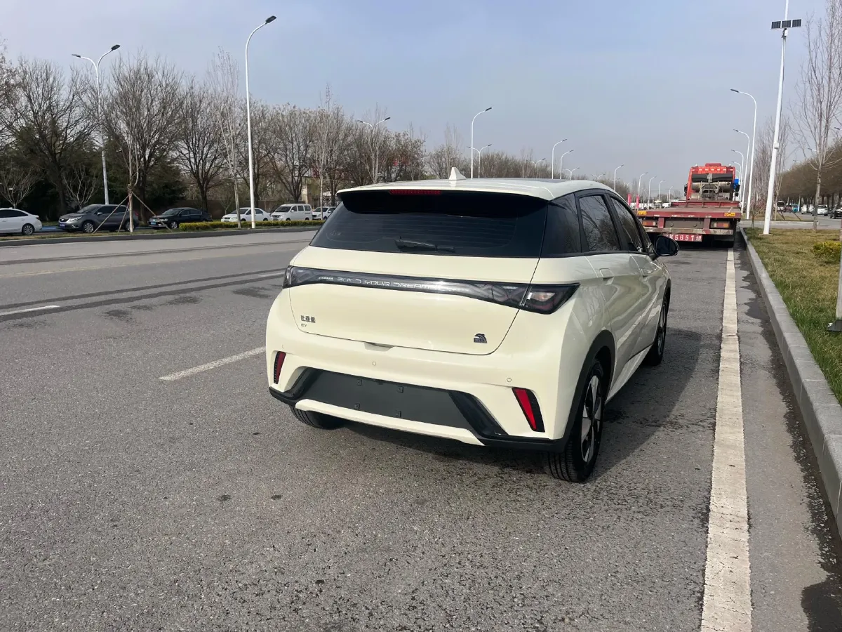 2023 BYD Dolphin BEV 44.928KWH,autocango,china used car exporter,china ev exporter,chinese used car exporter,chinese used ev exporter