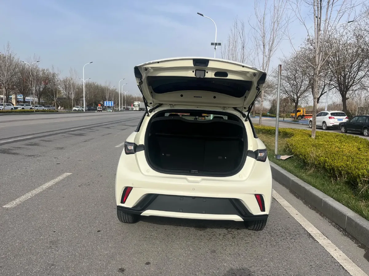 2023 BYD Dolphin BEV 44.928KWH,autocango,china used car exporter,china ev exporter,chinese used car exporter,chinese used ev exporter