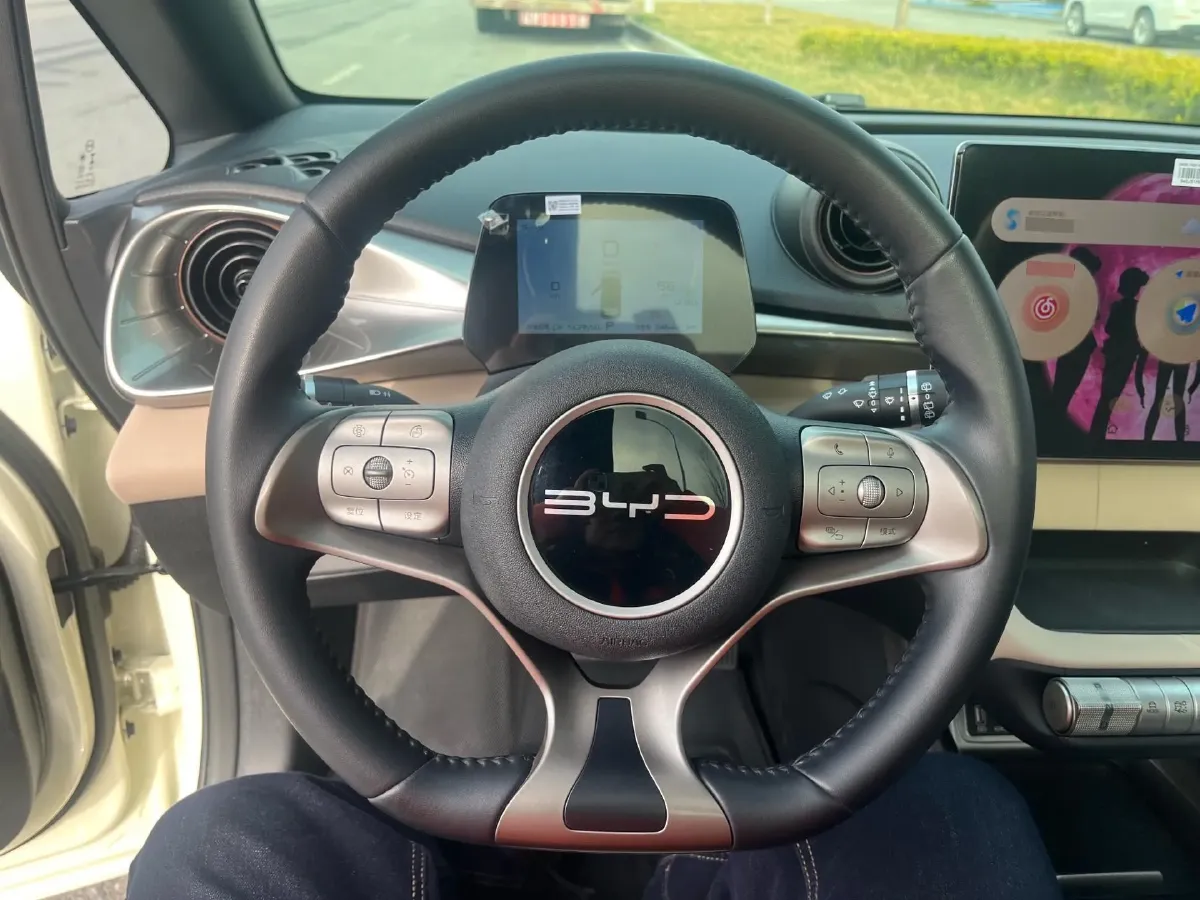 2023 BYD Dolphin BEV 44.928KWH,autocango,china used car exporter,china ev exporter,chinese used car exporter,chinese used ev exporter