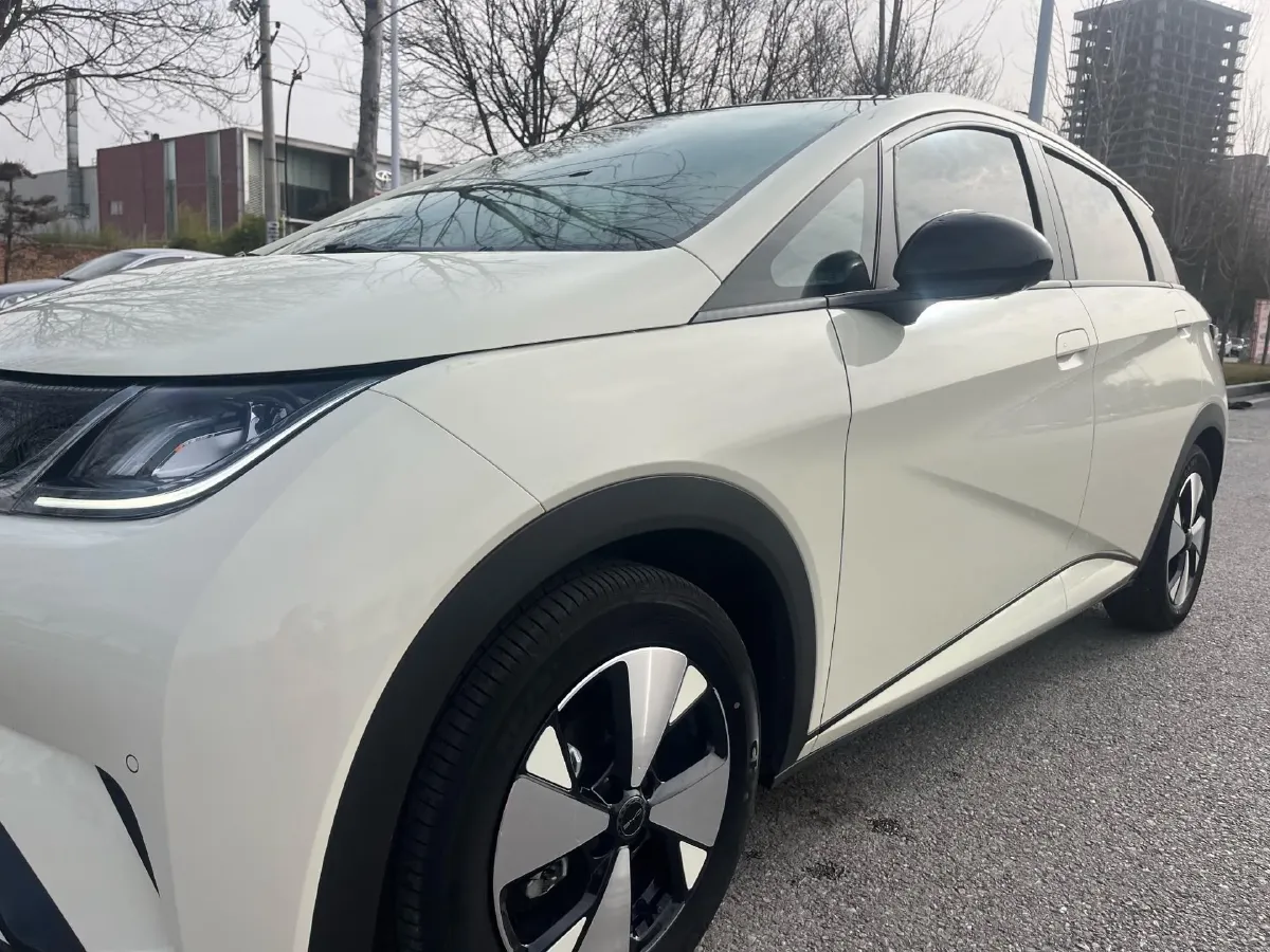 2023 BYD Dolphin BEV 44.928KWH,autocango,china used car exporter,china ev exporter,chinese used car exporter,chinese used ev exporter