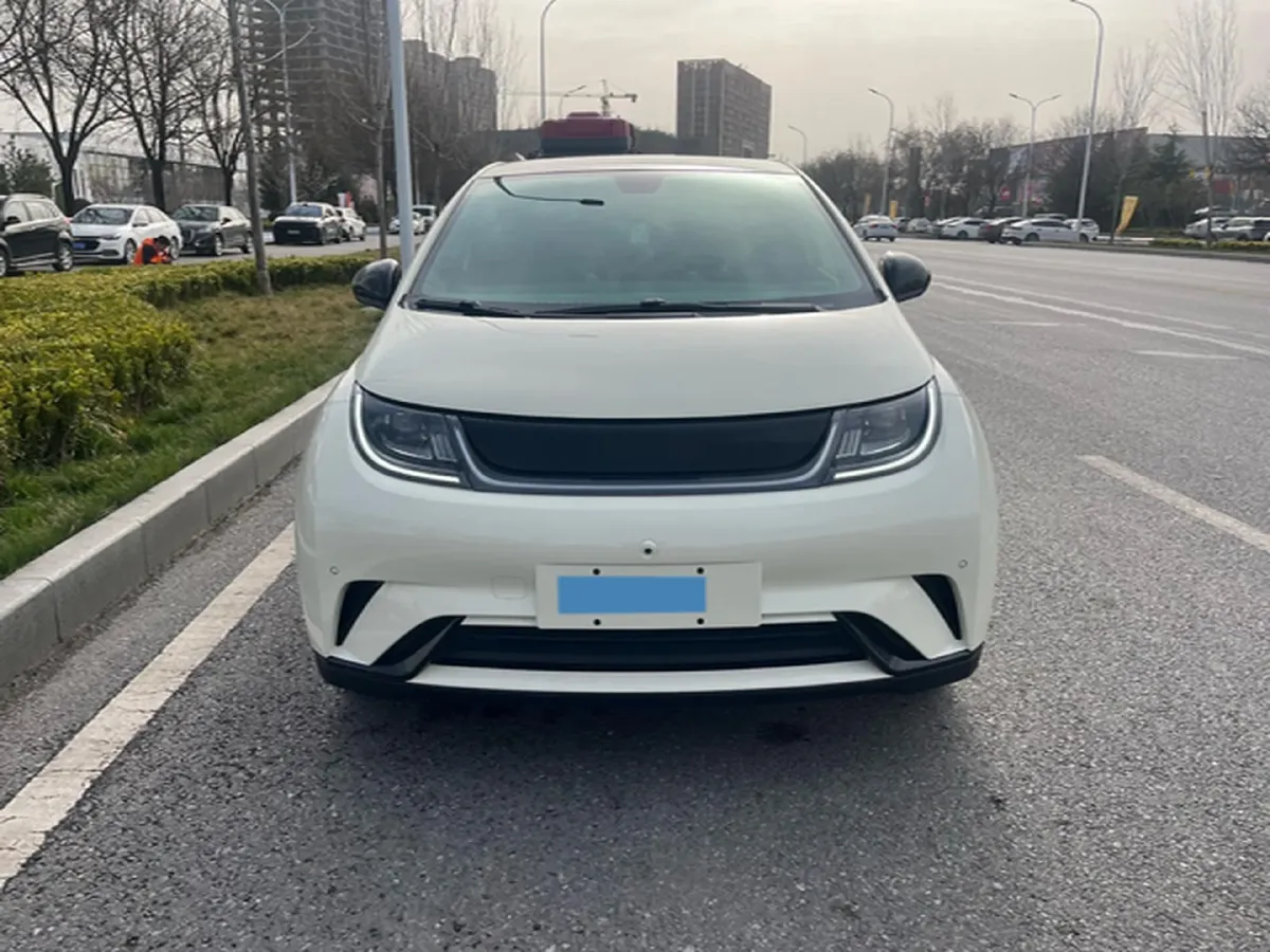 2023 BYD Dolphin BEV 44.928KWH,autocango,china used car exporter,china ev exporter,chinese used car exporter,chinese used ev exporter