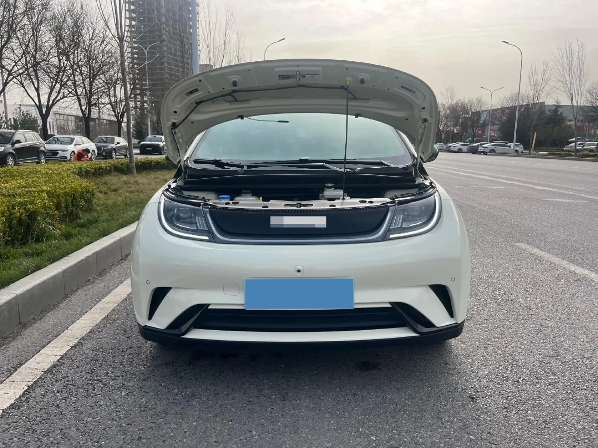 2023 BYD Dolphin BEV 44.928KWH,autocango,china used car exporter,china ev exporter,chinese used car exporter,chinese used ev exporter