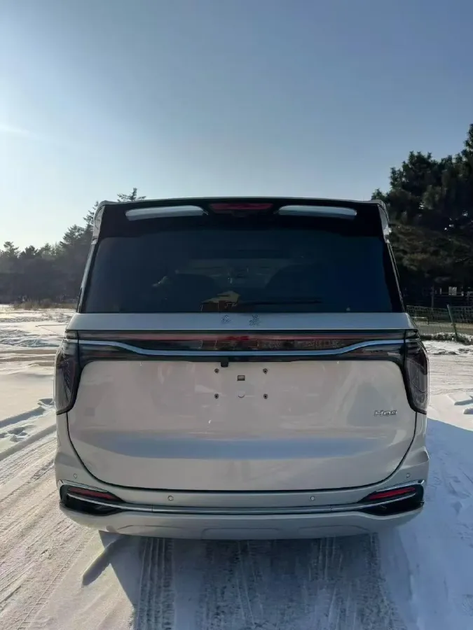 2023 HongQi HQ9 2.0T 252HP L4 8AT,autocango,china used car exporter,china ev exporter,chinese used car exporter,chinese used ev exporter