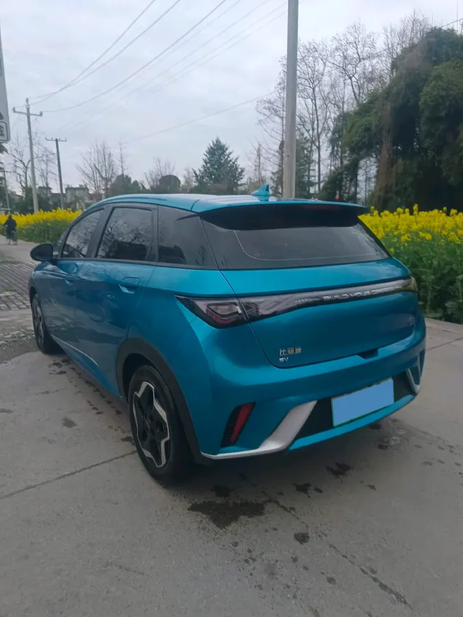 2021 BYD Yuan Pro BEV 50.1KWH,autocango,china used car exporter,china ev exporter,chinese used car exporter,chinese used ev exporter