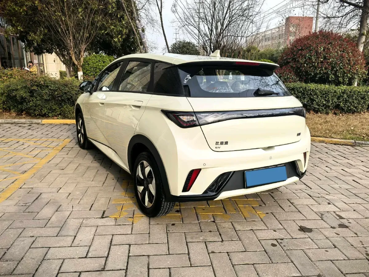 2025 BYD Dolphin BEV 44.928KWH,autocango,china used car exporter,china ev exporter,chinese used car exporter,chinese used ev exporter