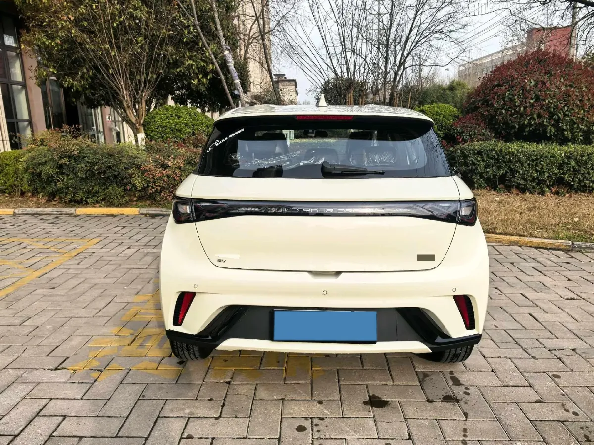 2025 BYD Dolphin BEV 44.928KWH,autocango,china used car exporter,china ev exporter,chinese used car exporter,chinese used ev exporter