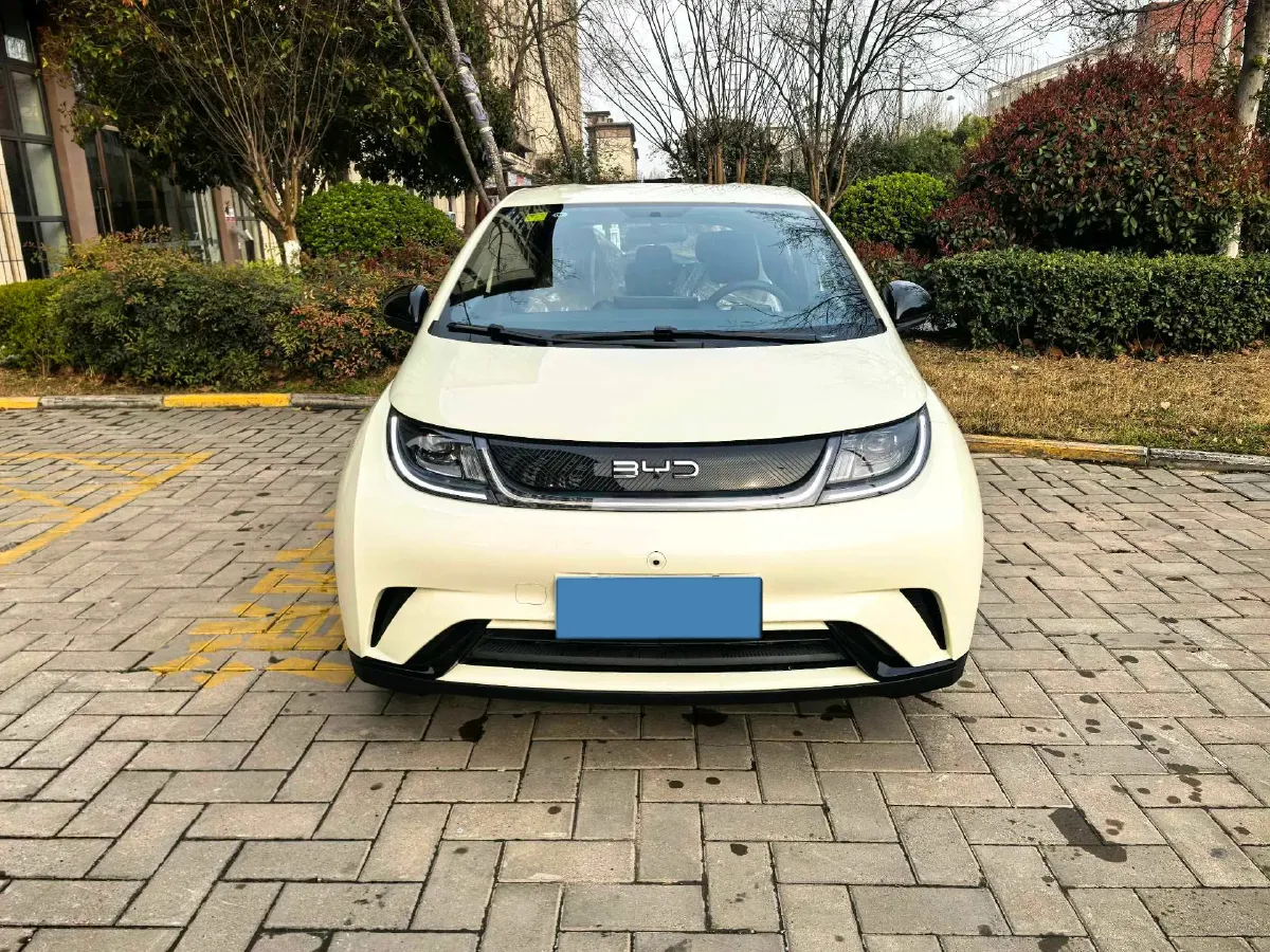2025 BYD Dolphin BEV 44.928KWH,autocango,china used car exporter,china ev exporter,chinese used car exporter,chinese used ev exporter
