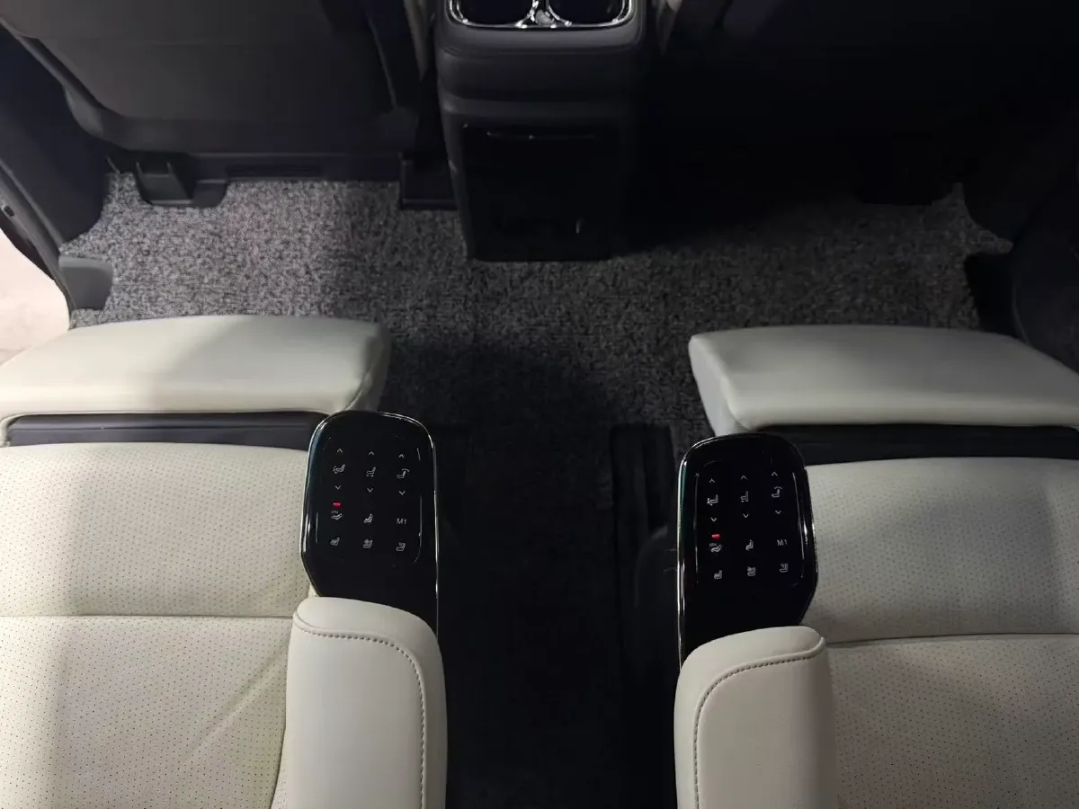 2023 GAC Trumpchi M8 2.0T 252HP L4 8AT,autocango,china used car exporter,china ev exporter,chinese used car exporter,chinese used ev exporter