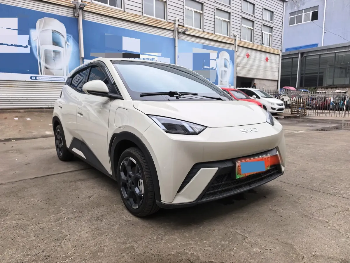 2024 BYD Seagull BEV 30.08KWH,autocango,china used car exporter,china ev exporter,chinese used car exporter,chinese used ev exporter
