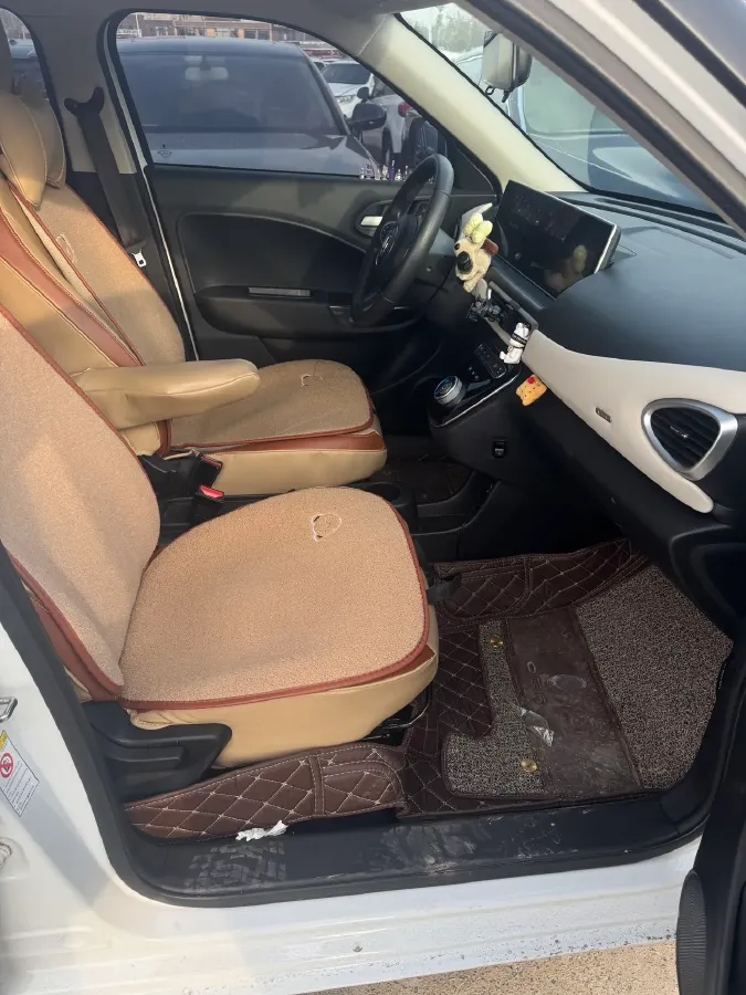 2020 Ora WhiteCat BEV 33KWH,autocango,china used car exporter,china ev exporter,chinese used car exporter,chinese used ev exporter