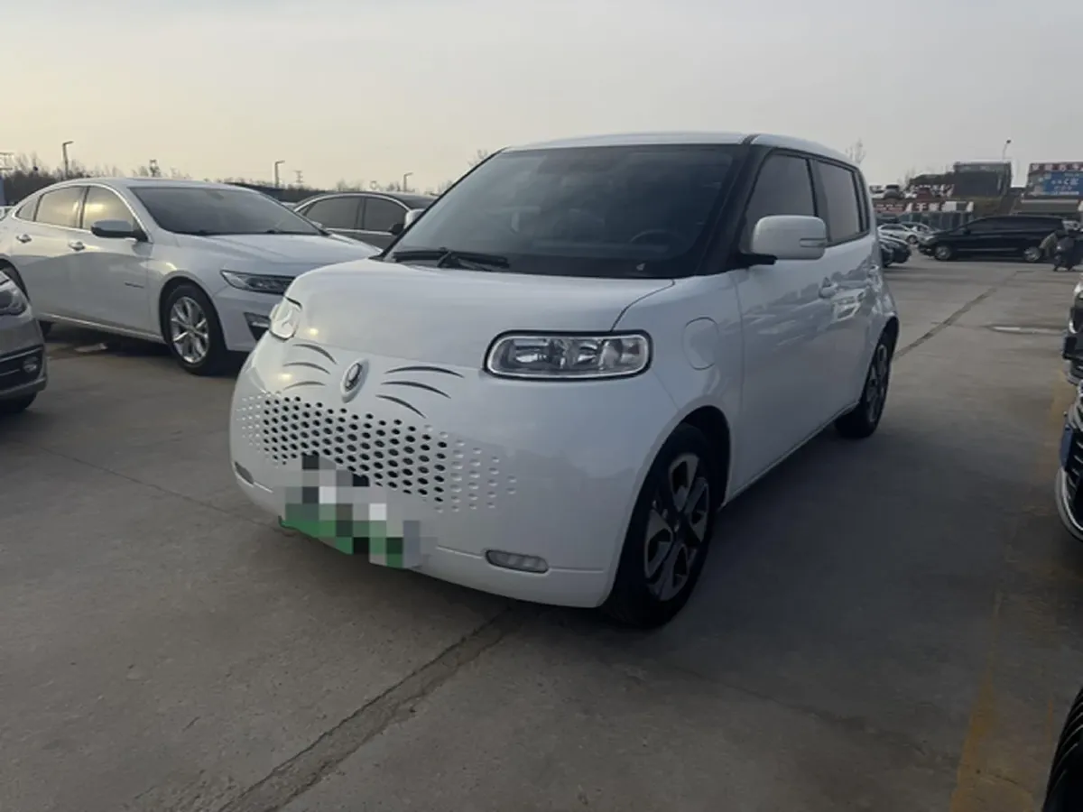 2020 Ora WhiteCat BEV 33KWH,autocango,china used car exporter,china ev exporter,chinese used car exporter,chinese used ev exporter