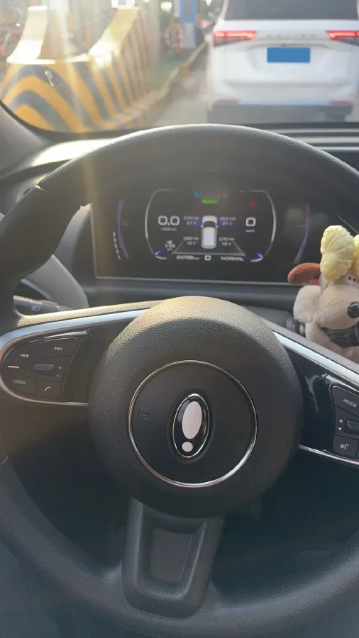 2020 Ora WhiteCat BEV 33KWH,autocango,china used car exporter,china ev exporter,chinese used car exporter,chinese used ev exporter