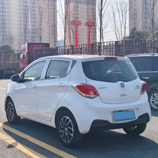 2021 ChangAn BenBen E-Star BEV 31.95KWH,autocango,china used car exporter,china ev exporter,chinese used car exporter,chinese used ev exporter
