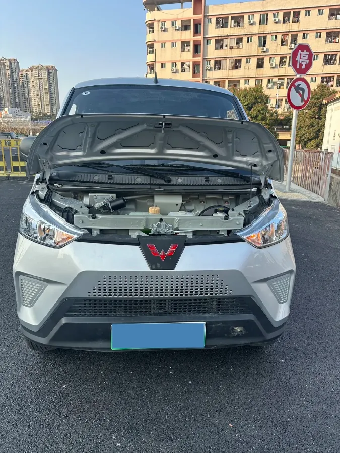 2021 WuLing EV50 BEV 43.2KWH,autocango,china used car exporter,china ev exporter,chinese used car exporter,chinese used ev exporter