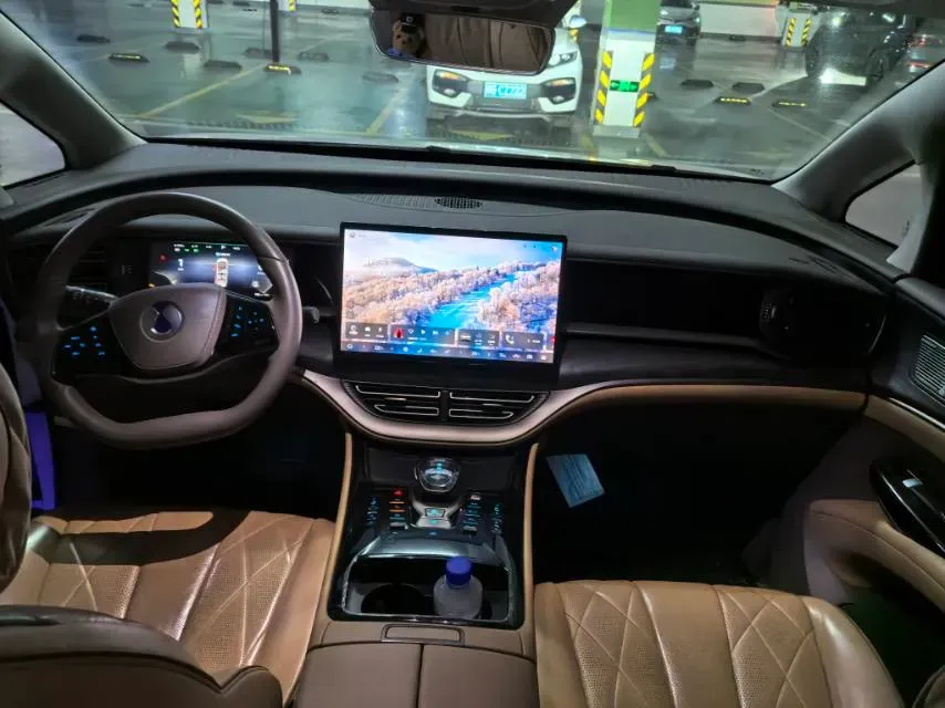 2022 HongQi HS7 3.0T 337HP V6 8AT,autocango,china used car exporter,china ev exporter,chinese used car exporter,chinese used ev exporter