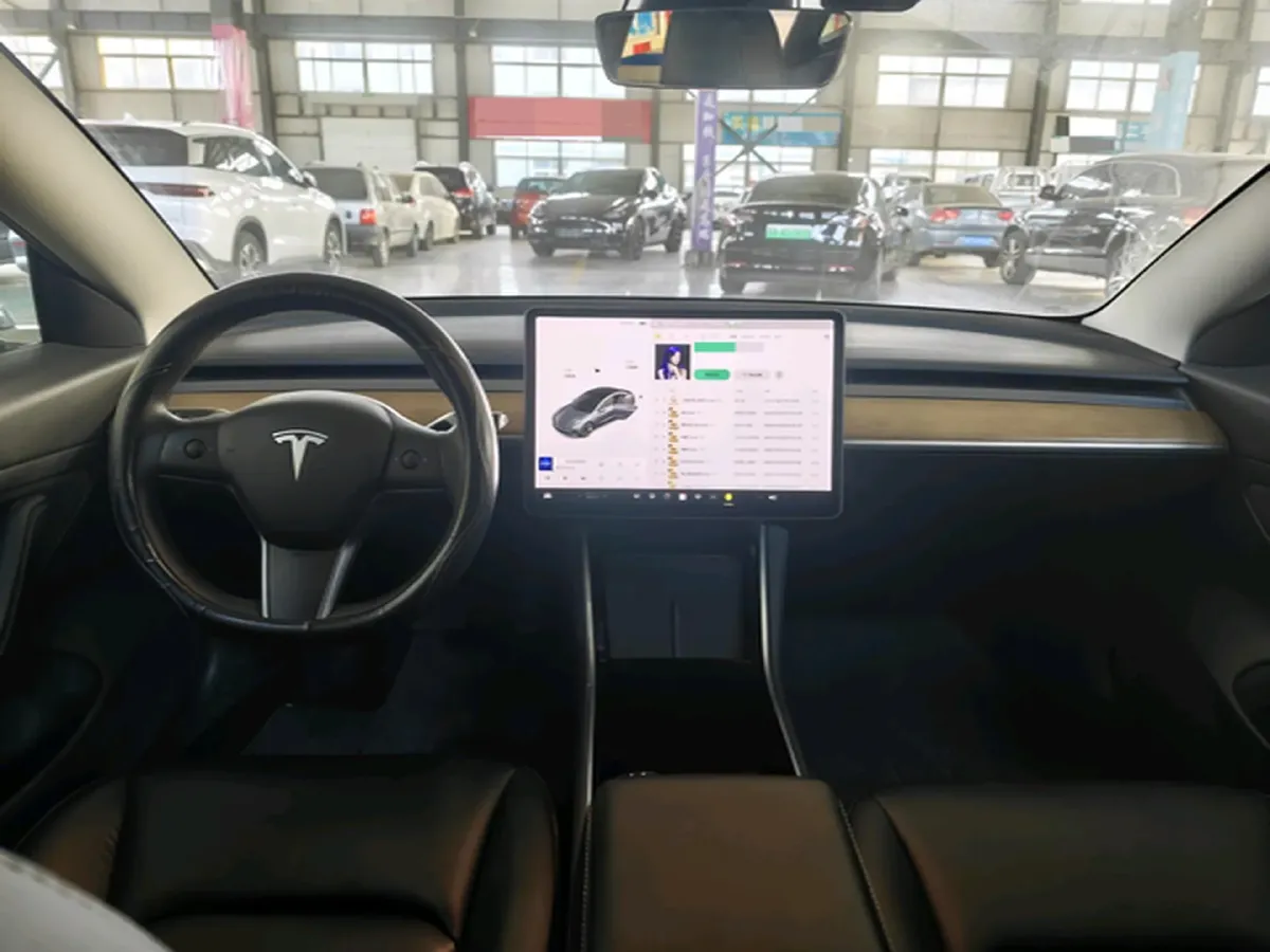 2020 Tesla Model 3 BEV 55KWH,autocango,china used car exporter,china ev exporter,chinese used car exporter,chinese used ev exporter