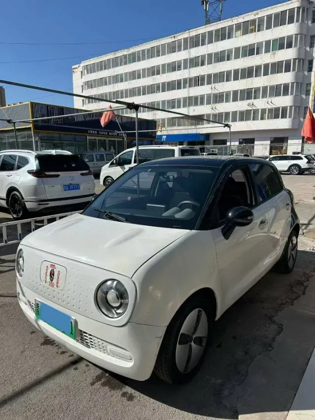 2019 Ora BlackCat BEV 28.5KWH,autocango,china used car exporter,china ev exporter,chinese used car exporter,chinese used ev exporter