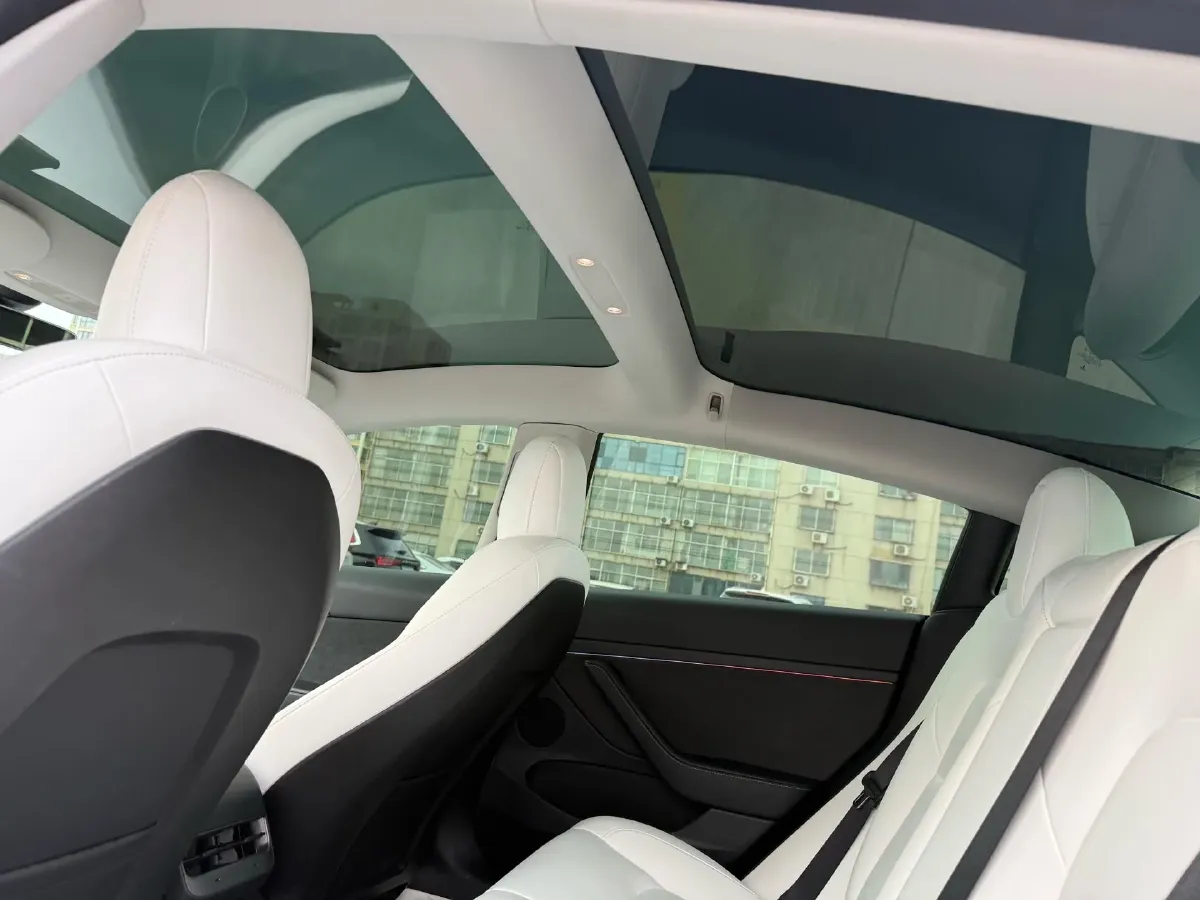 2022 Tesla Model 3 BEV 60KWH,autocango,china used car exporter,china ev exporter,chinese used car exporter,chinese used ev exporter