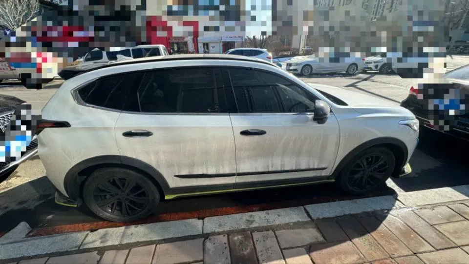 2021 Haval Rabbit 1.5T 184HP L4 7DCT,autocango,china used car exporter,china ev exporter,chinese used car exporter,chinese used ev exporter