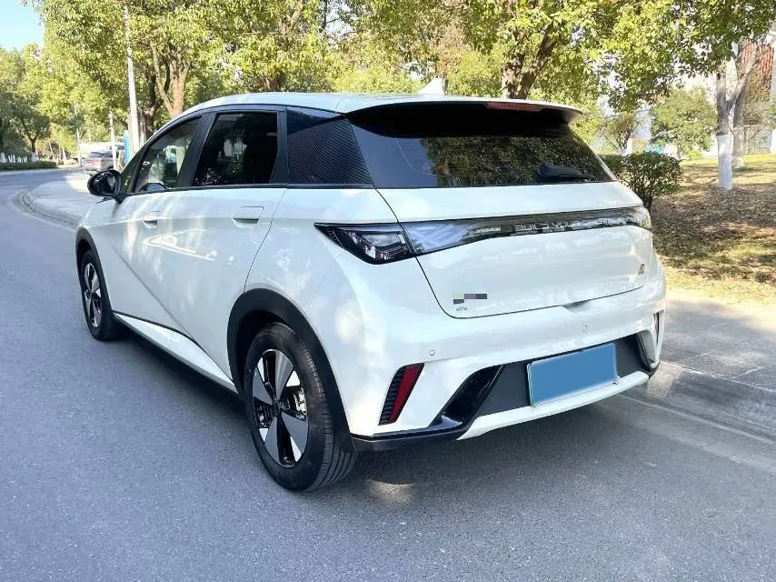 2023 BYD Dolphin BEV 44.928KWH,autocango,china used car exporter,china ev exporter,chinese used car exporter,chinese used ev exporter