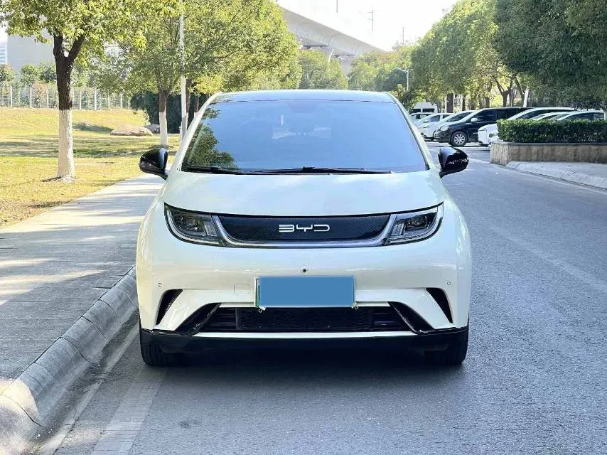 2023 BYD Dolphin BEV 44.928KWH,autocango,china used car exporter,china ev exporter,chinese used car exporter,chinese used ev exporter