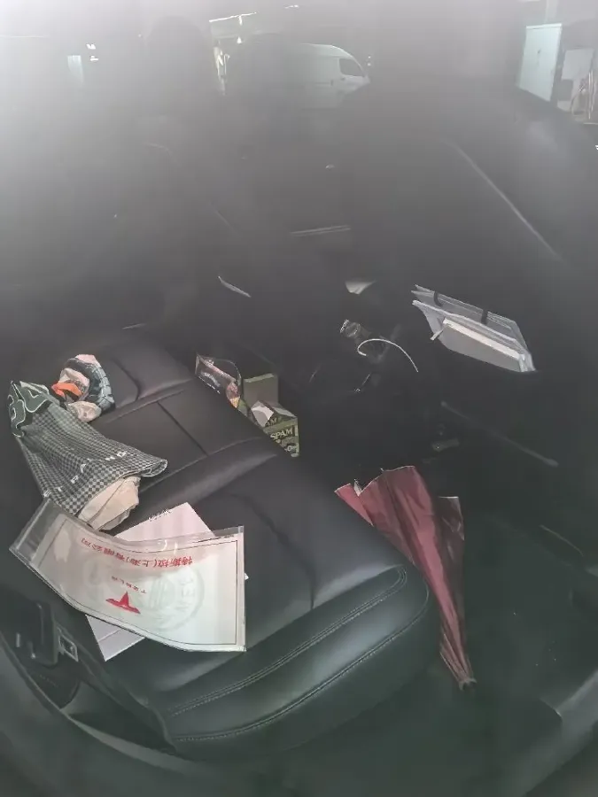 2021 Tesla Model 3 BEV 76.8KWH,autocango,china used car exporter,china ev exporter,chinese used car exporter,chinese used ev exporter