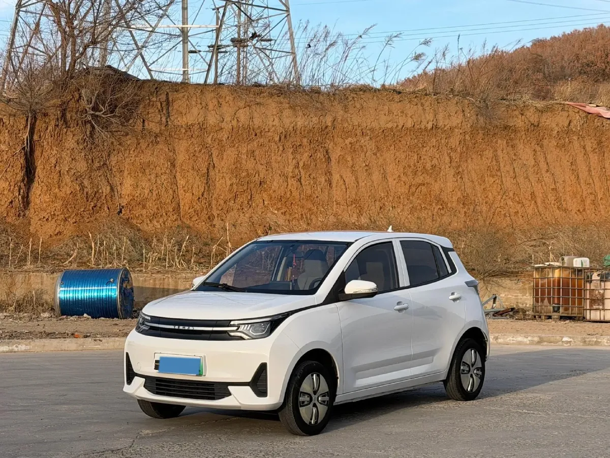 2021 Levdeo Mango BEV 17.28KWH,autocango,china used car exporter,china ev exporter,chinese used car exporter,chinese used ev exporter