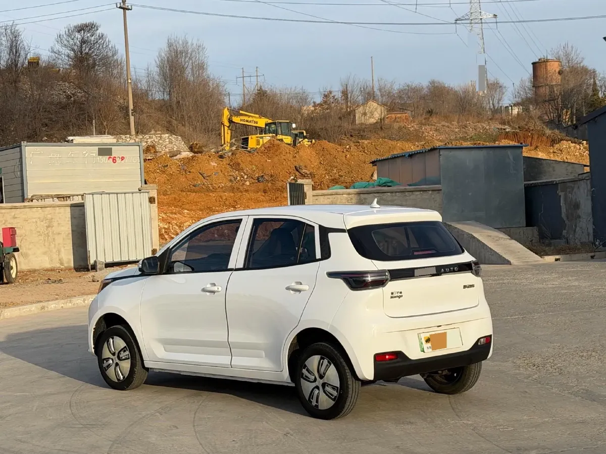 2021 Levdeo Mango BEV 17.28KWH,autocango,china used car exporter,china ev exporter,chinese used car exporter,chinese used ev exporter