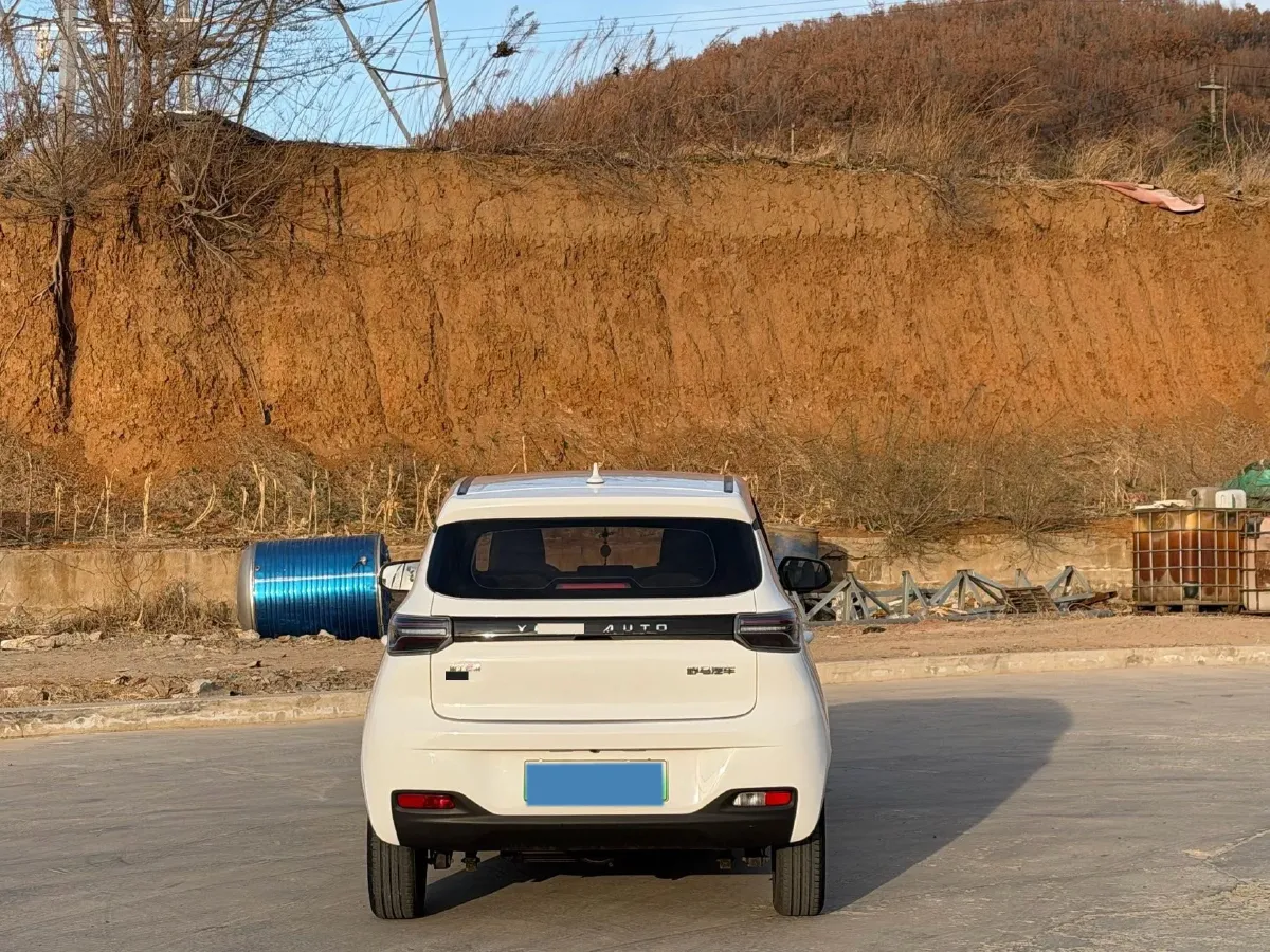 2021 Levdeo Mango BEV 17.28KWH,autocango,china used car exporter,china ev exporter,chinese used car exporter,chinese used ev exporter