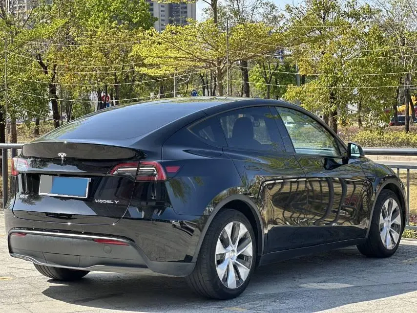 2021 Tesla Model 3 BEV 76.8KWH,autocango,china used car exporter,china ev exporter,chinese used car exporter,chinese used ev exporter