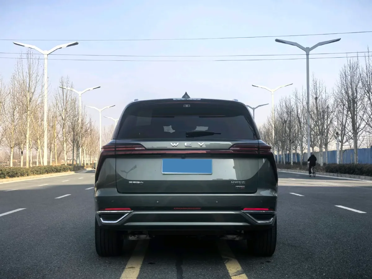 2025 WEY BlueMountain 1.5T 170HP L4 4DHT PHEV 52.3KWH,autocango,china used car exporter,china ev exporter,chinese used car exporter,chinese used ev exporter