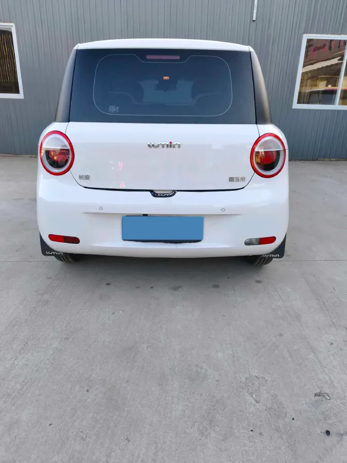 2025 ChangAn QiYuan Lumin BEV,autocango,china used car exporter,china ev exporter,chinese used car exporter,chinese used ev exporter