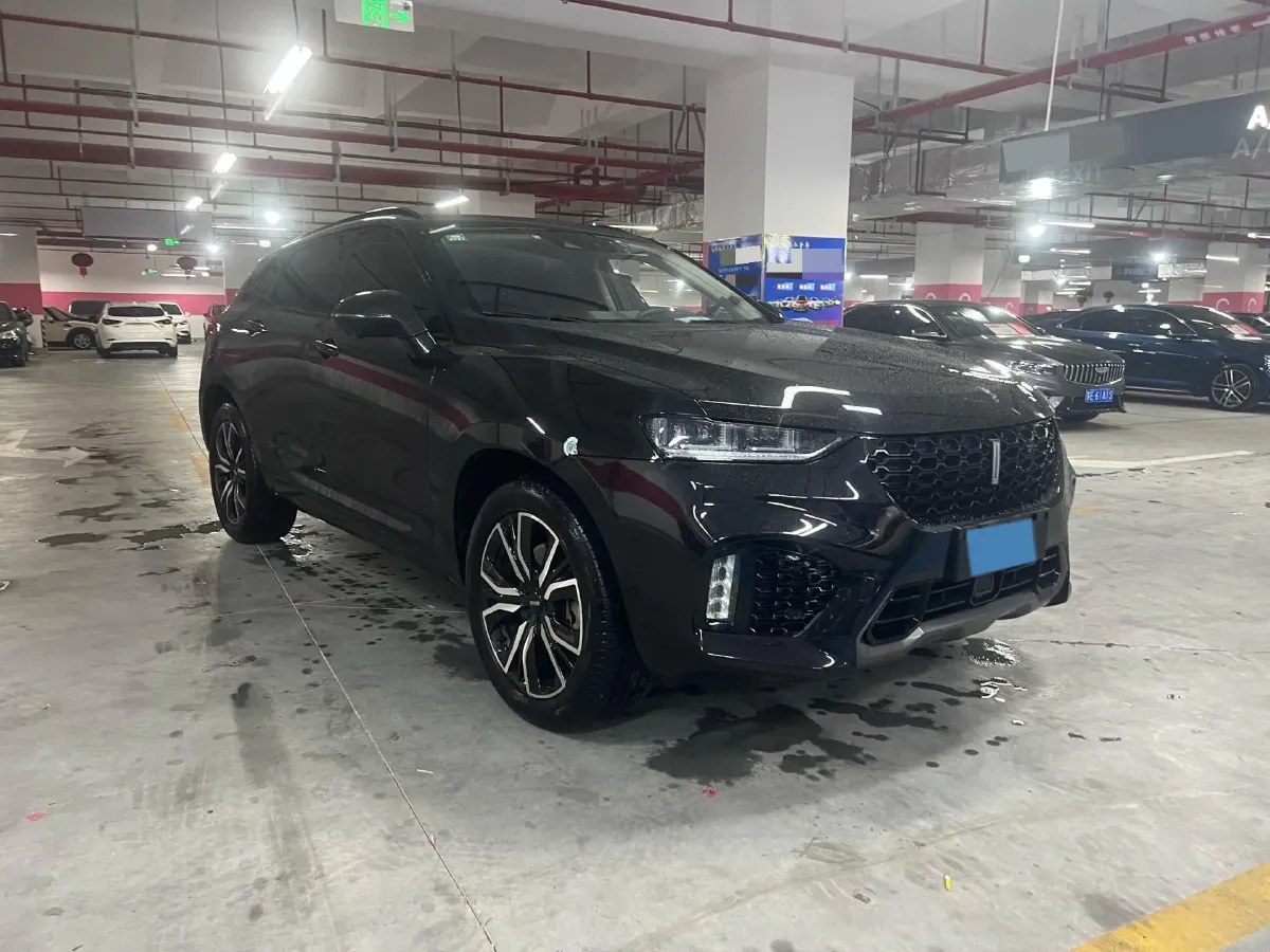 2019 WEY VV7 2.0T 234HP L4 7DCT,autocango,china used car exporter,china ev exporter,chinese used car exporter,chinese used ev exporter