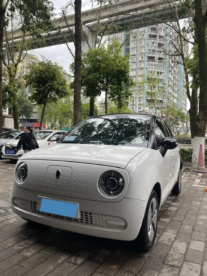 2019 Ora BlackCat BEV 28.5KWH,autocango,china used car exporter,china ev exporter,chinese used car exporter,chinese used ev exporter