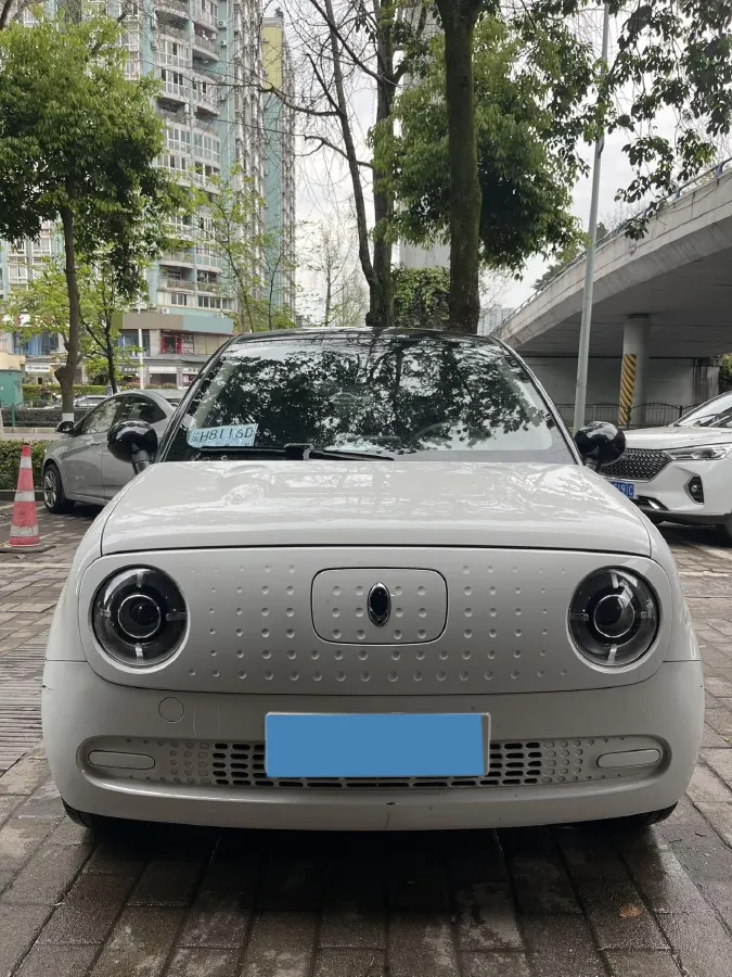 2019 Ora BlackCat BEV 28.5KWH,autocango,china used car exporter,china ev exporter,chinese used car exporter,chinese used ev exporter