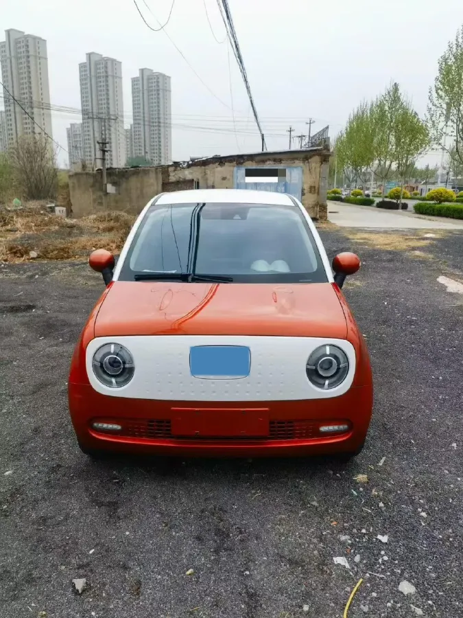 2019 Ora BlackCat BEV 33KWH,autocango,china used car exporter,china ev exporter,chinese used car exporter,chinese used ev exporter