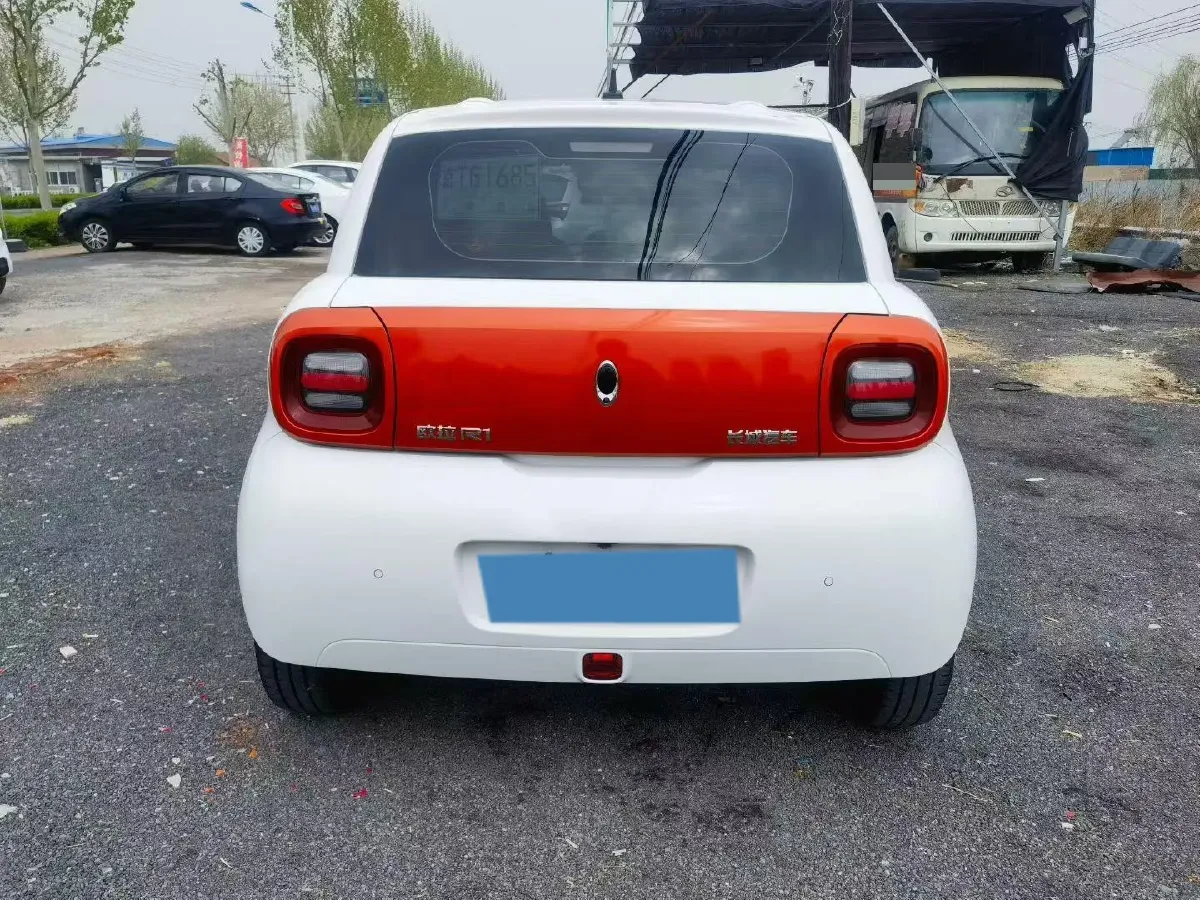 2019 Ora BlackCat BEV 33KWH,autocango,china used car exporter,china ev exporter,chinese used car exporter,chinese used ev exporter