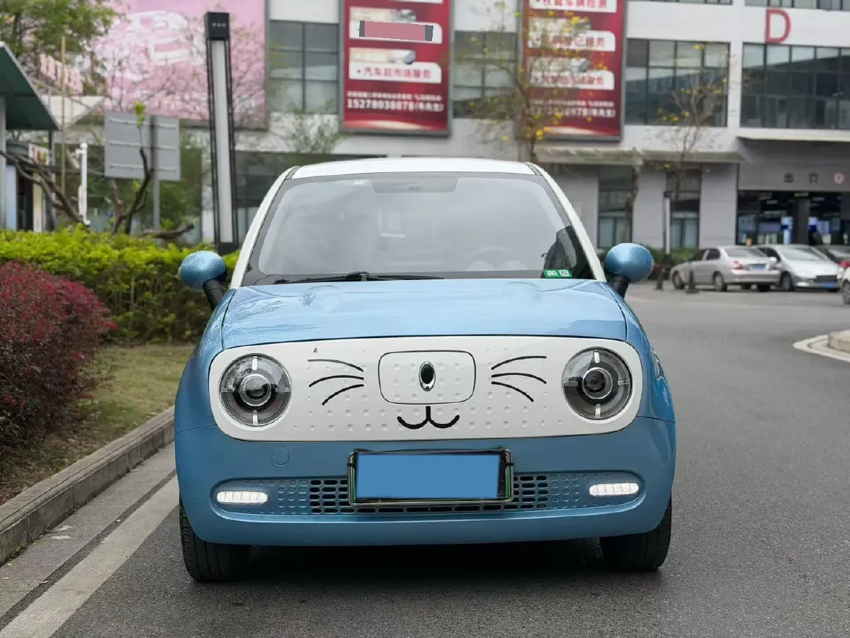 2021 Ora BlackCat BEV 33KWH,autocango,china used car exporter,china ev exporter,chinese used car exporter,chinese used ev exporter