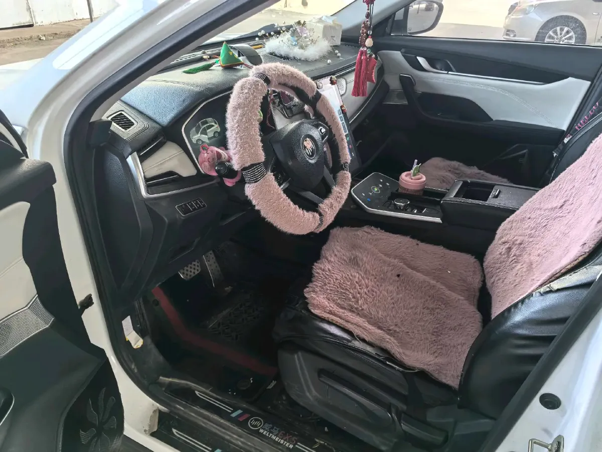 2019 Weltmeister EX5 BEV 69KWH,autocango,china used car exporter,china ev exporter,chinese used car exporter,chinese used ev exporter