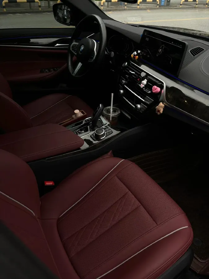 2022 BMW 5 Series 2.0T 184HP L4 8AT,autocango,china used car exporter,china ev exporter,chinese used car exporter,chinese used ev exporter