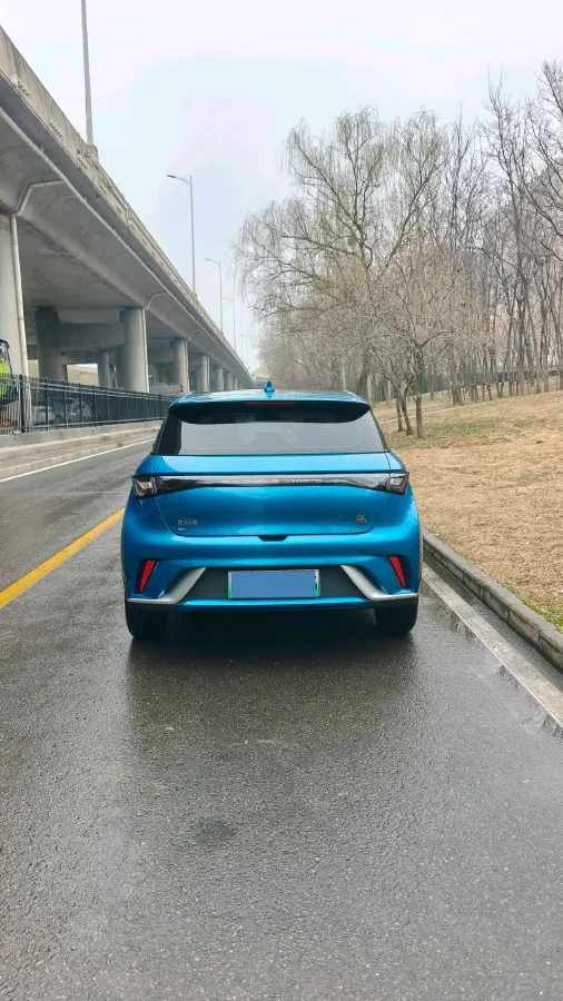 2021 BYD Yuan Pro BEV 50.1KWH,autocango,china used car exporter,china ev exporter,chinese used car exporter,chinese used ev exporter