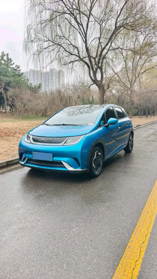 2021 BYD Yuan Pro BEV 50.1KWH,autocango,china used car exporter,china ev exporter,chinese used car exporter,chinese used ev exporter