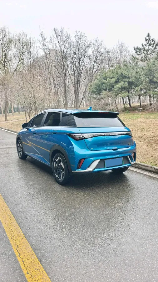 2021 BYD Yuan Pro BEV 50.1KWH,autocango,china used car exporter,china ev exporter,chinese used car exporter,chinese used ev exporter