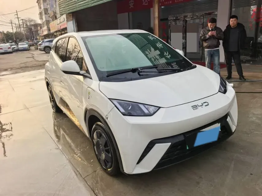 2025 BYD Seagull BEV 30.08KWH,autocango,china used car exporter,china ev exporter,chinese used car exporter,chinese used ev exporter