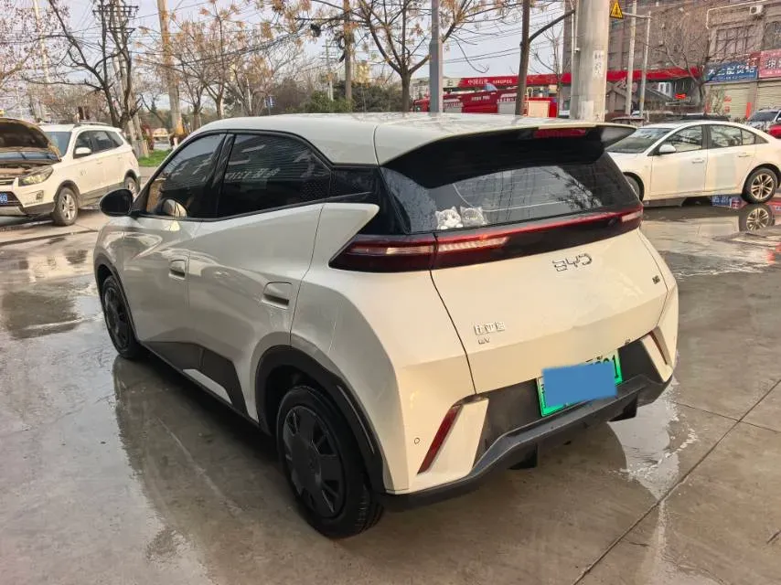 2025 BYD Seagull BEV 30.08KWH,autocango,china used car exporter,china ev exporter,chinese used car exporter,chinese used ev exporter