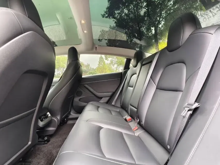 2020 Tesla Model 3 BEV 76.8KWH,autocango,china used car exporter,china ev exporter,chinese used car exporter,chinese used ev exporter