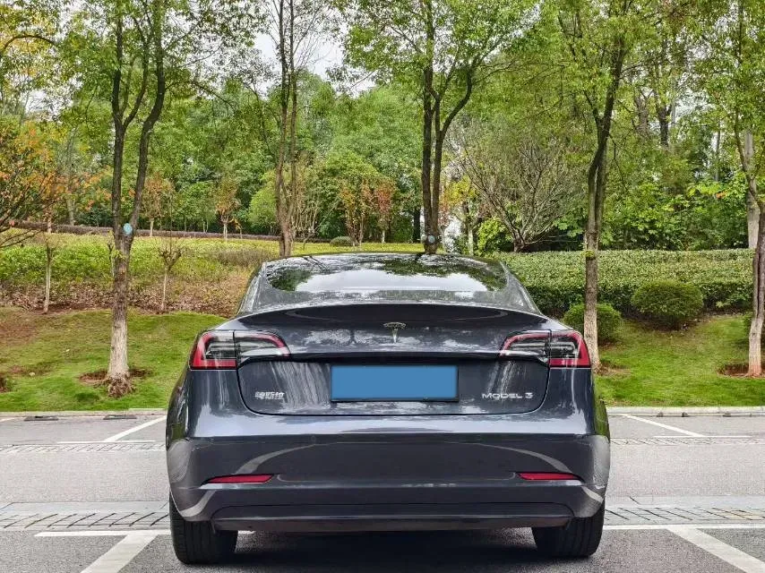 2020 Tesla Model 3 BEV 76.8KWH,autocango,china used car exporter,china ev exporter,chinese used car exporter,chinese used ev exporter