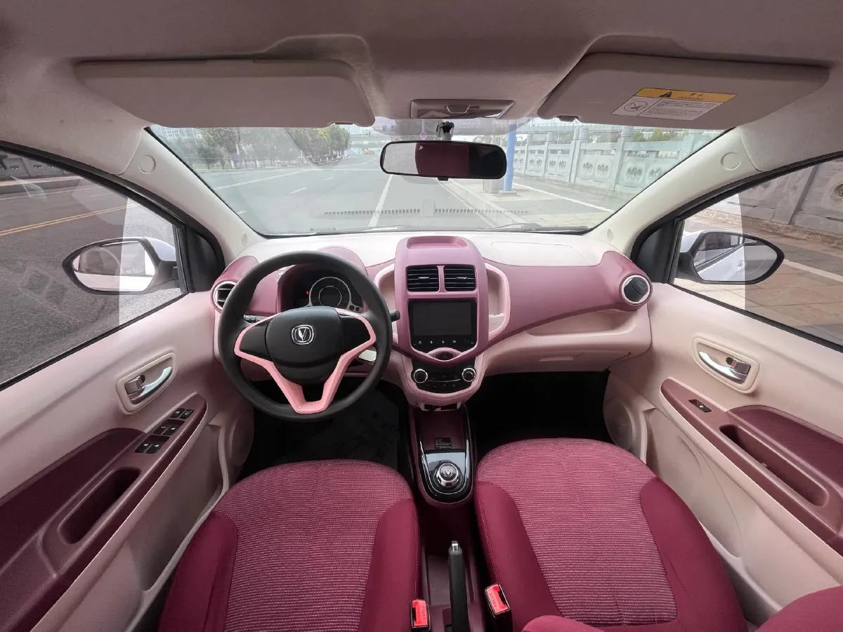 2021 ChangAn BenBen E-Star BEV 31.95KWH,autocango,china used car exporter,china ev exporter,chinese used car exporter,chinese used ev exporter